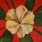 Hibiscus 1