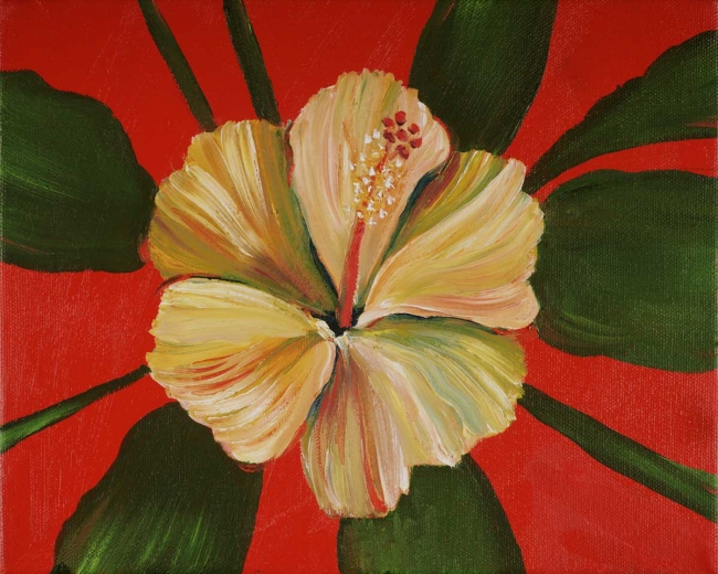 Hibiscus 1