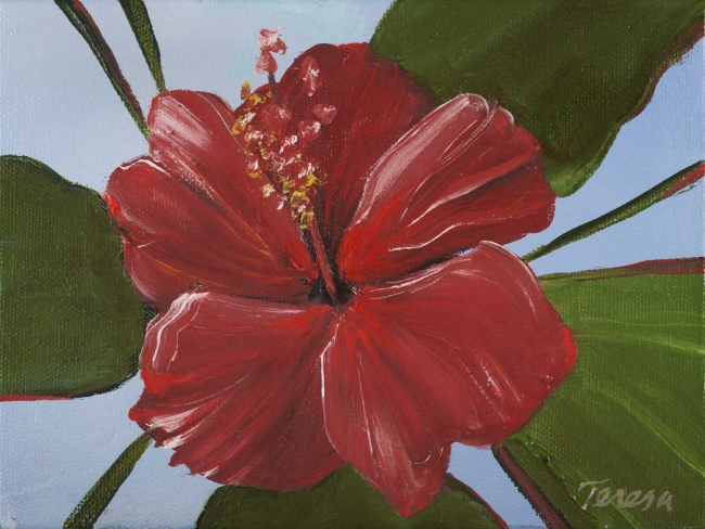 Hibiscus 10