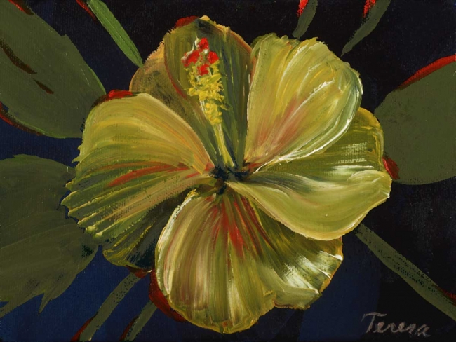 Hibiscus 11