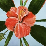 Hibiscus 3