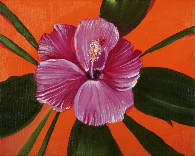 Hibiscus 4