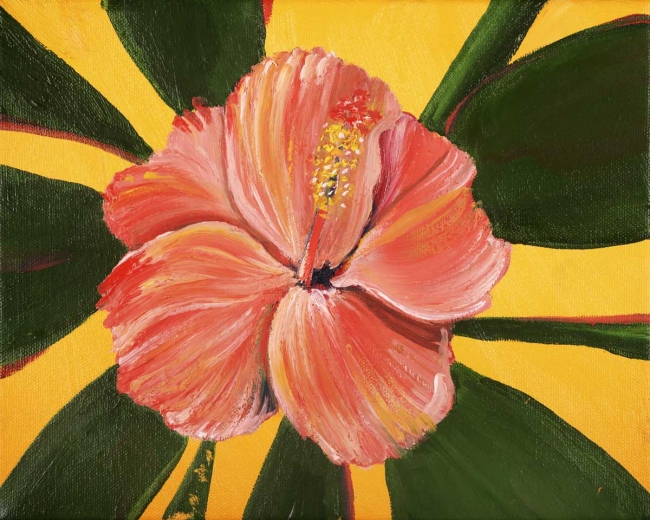 Hibiscus 5