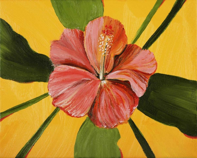 Hibiscus 6