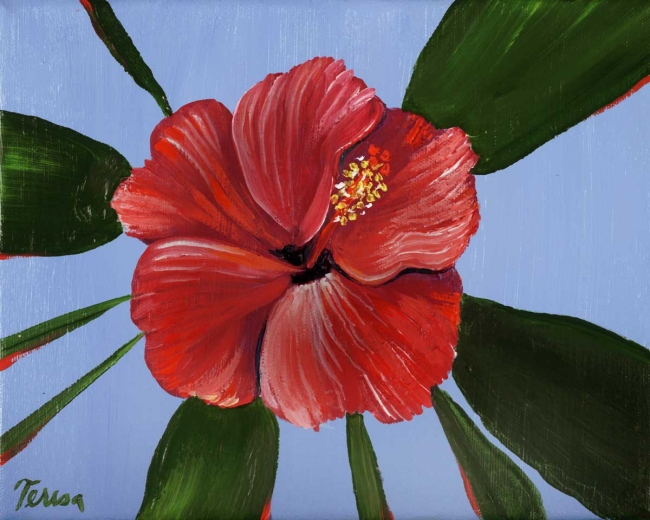 Hibiscus 8