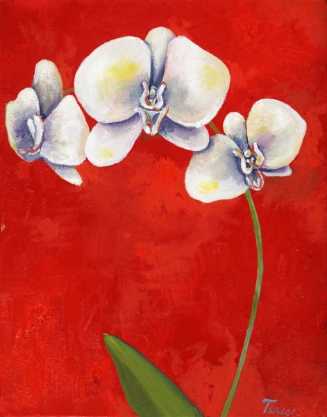 Red Orchid