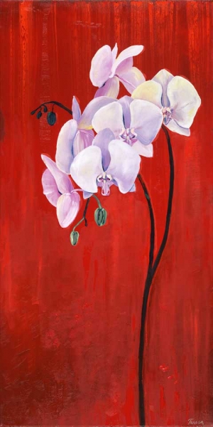 Multi Red Orchid